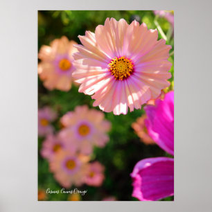 Cosmos [Poster] Poster