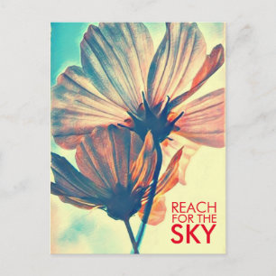 Cosmos Reach for the Sky Postcard