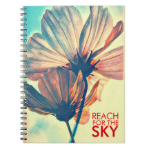 Cosmos Reach for the Sky Quote
