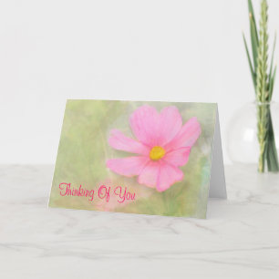 Cosmos Rose Blank Pense De Votre Carte