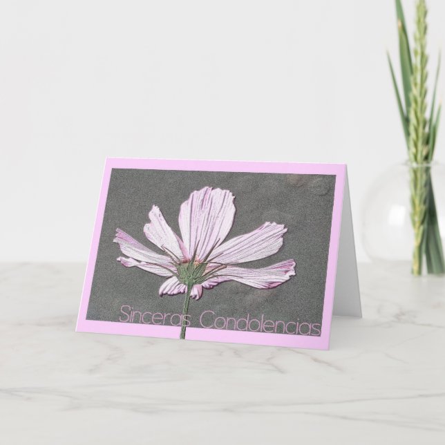 cosmos sympathy card spanish (Front)