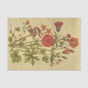 Cosmos Vintage Flower Rustic Decoupage Tissue Paper