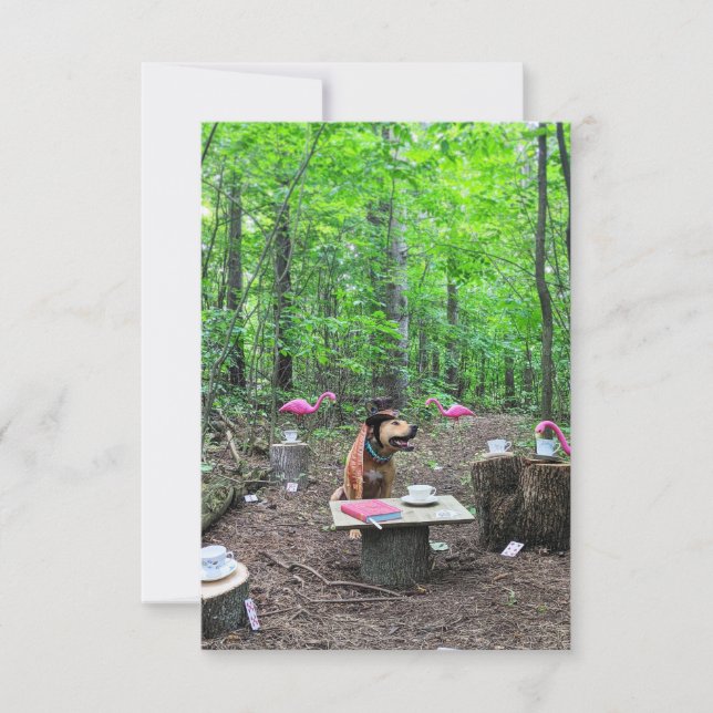 Cosplay Mad Hatter book Funny Dog Photo Card (Front)