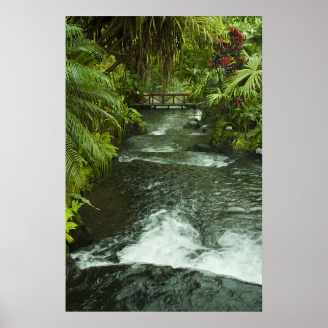 Cosra Rica Dream Poster (Front)