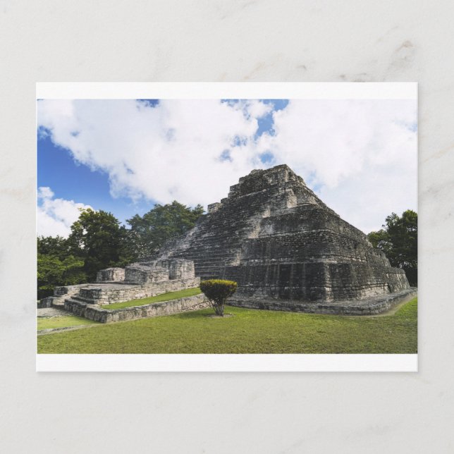 Costa Maya Chacchoben Mayan Ruins Postcard (Front)