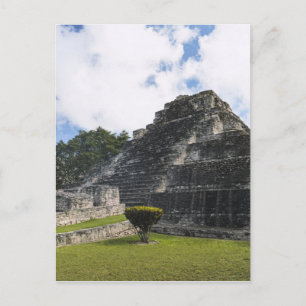 Costa Maya Chacchoben Mayan Ruins Postcard