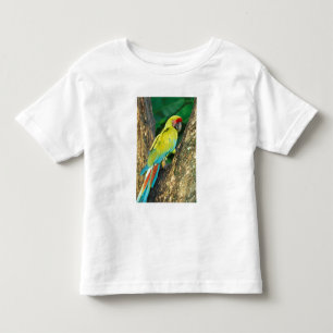 Costa Rica, Ara Ambigua, Great Green Macaw. Toddler T-shirt