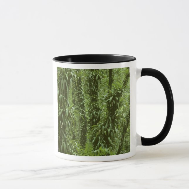 Costa Rica, Arenal National Park, rainforest Mug (Right)