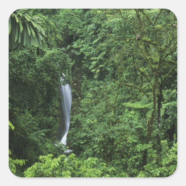 Costa Rica, Arenal Volcano area, Hanging Bridges Square Sticker (Front)