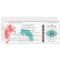Costa Rica Boarding Pass Wedding