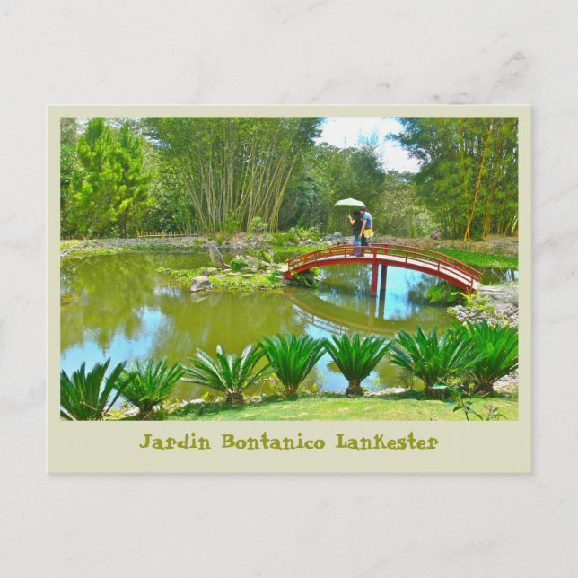 Costa Rica /Bontanical Park Postcard (Front)