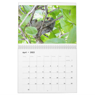 Costa Rica Calendar