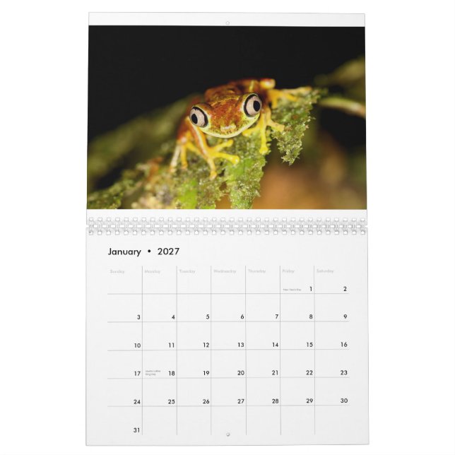 Costa Rica Calendar (Jan 2027)
