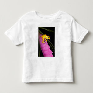 Costa Rica. Close-up of poison dart frog Toddler T-shirt