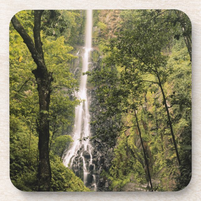 Costa Rica, Cocos Island, Wafer Bay Waterfall Coaster (Front)