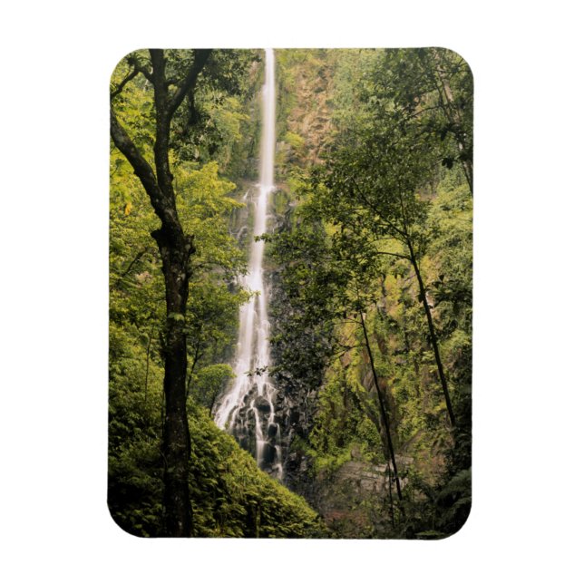 Costa Rica, Cocos Island, Wafer Bay Waterfall Magnet (Vertical)