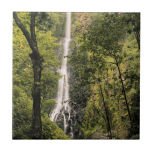 Costa Rica, Cocos Island, Wafer Bay Waterfall Tile