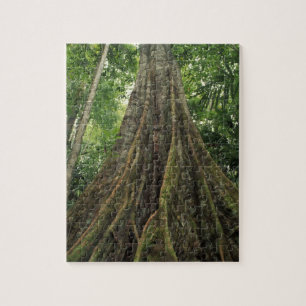 Costa Rica, Corcovado National Park, Buttressed Jigsaw Puzzle
