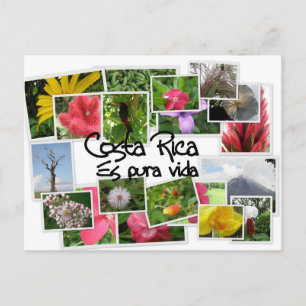 Costa Rica es Pura Vida! Postcard