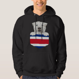 Costa Rica Flag Soft Coated Wheaten Terrier Dog In Hoodie
