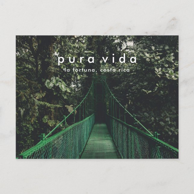 Costa Rica Hanging Bridges Canopy Postcard (Front)