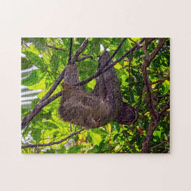 Costa Rica - Happy  Lazy Sloth, Antonio Manuel NP Jigsaw Puzzle (Horizontal)