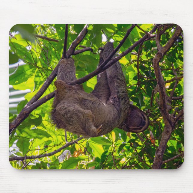 Costa Rica - Happy  Lazy Sloth, Antonio Manuel NP Mouse Pad (Front)
