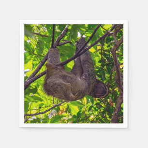 Costa Rica - Happy  Lazy Sloth, Antonio Manuel NP Napkin