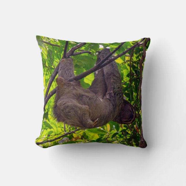 Costa Rica - Happy  Lazy Sloth, Antonio Manuel NP Throw Pillow (Front)