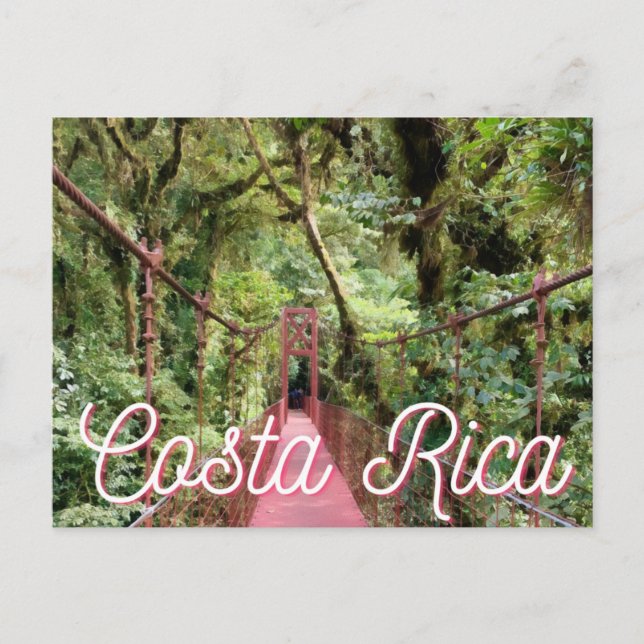 Costa Rica Monteverde Bridge Photography Postcard (Front)