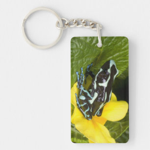 Costa Rica, Osa Peninsula Keychain