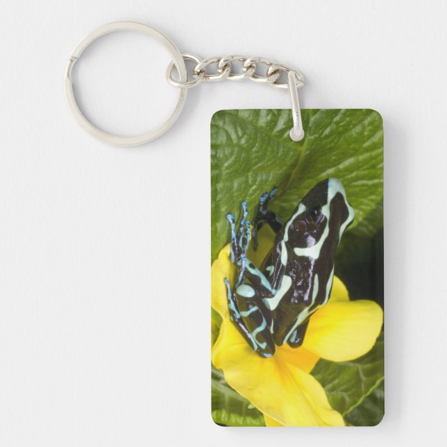 Costa Rica, Osa Peninsula Keychain (Front)
