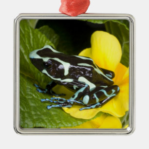 Costa Rica, Osa Peninsula Metal Ornament