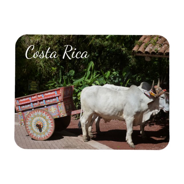 Costa Rica Oxcart Magnet (Horizontal)