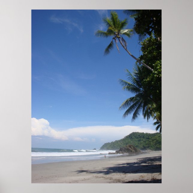 Costa Rica Palm #3 Poster (Front)