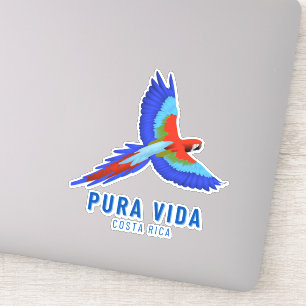 Costa Rica Parrot Colorful Souvenir