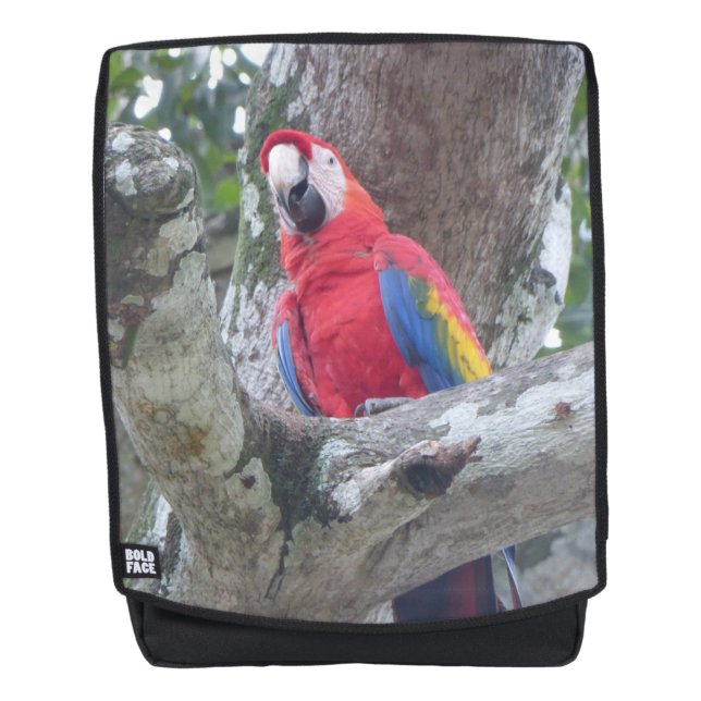 Costa Rica Parrot Jungle Oiseau Adulte Sac à dos (Devant)