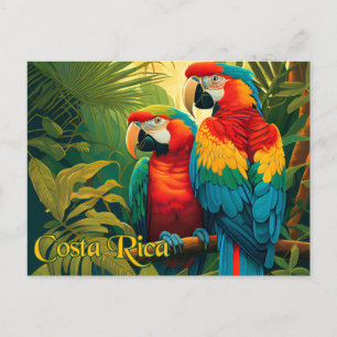 Costa Rica Parrots Postcard