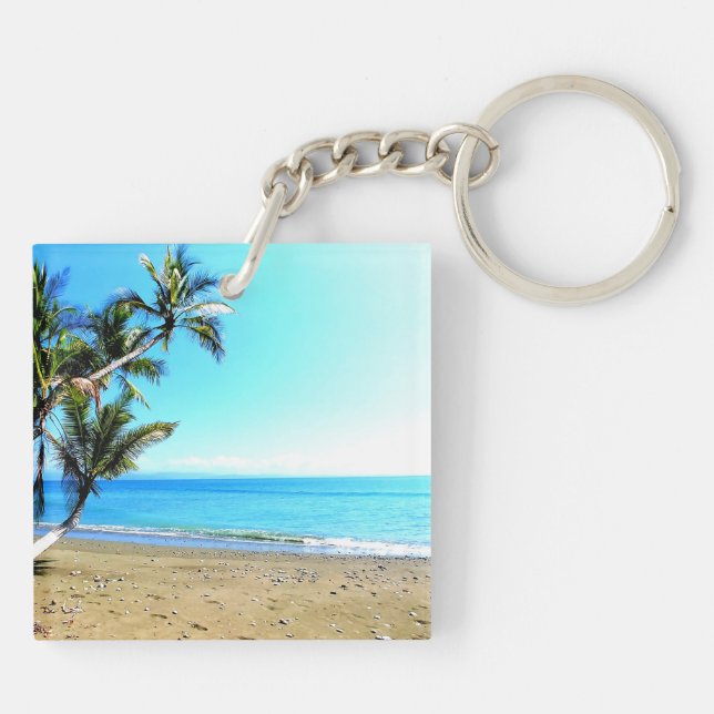 Costa Rica, plage avec palmier (Dos)