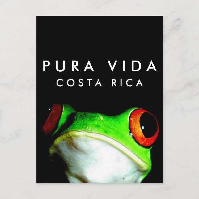 Costa Rica Pura Vida Tree Frog Postcard (Front)