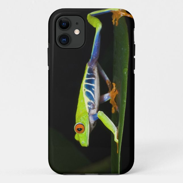 Costa Rica, Red-eyed Tree Frog (Agalychnis Case-Mate iPhone Case (Back)