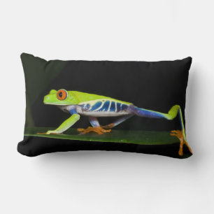 Costa Rica, Red-eyed Tree Frog (Agalychnis Lumbar Pillow
