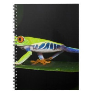 Costa Rica, Red-eyed Tree Frog (Agalychnis Notebook
