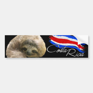 Costa Rica Sloth Bumper Sticker