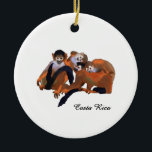 Costa Rica Titi Monkey Ceramic Ornament<br><div class="desc">Put the final touch to these beautiful designs of Costa Rica's wildlife, flora and scenery by adding text, changing the background colour, making the image larger or smaller! Change the style from Adults to Children; or vice versa! Simply, personalize it to your heart's content! Or, maybe it's already perfect just...</div>