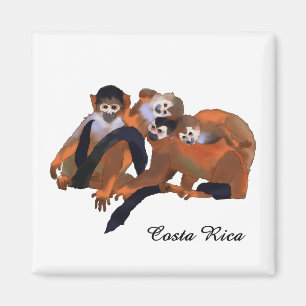 Costa Rica Titi Monkey Magnet