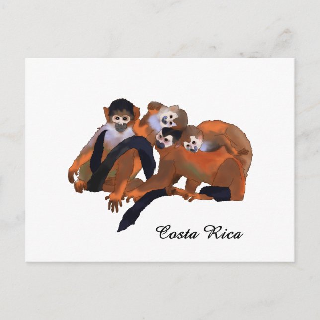 Costa Rica Titi Monkey Postcard (Front)