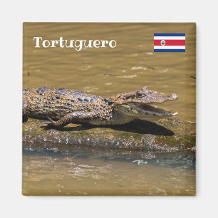 Costa Rica, Tortuguero -  Smilling crocodile Magnet