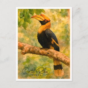Costa Rica Toucan Bird Watercolor Postcard
