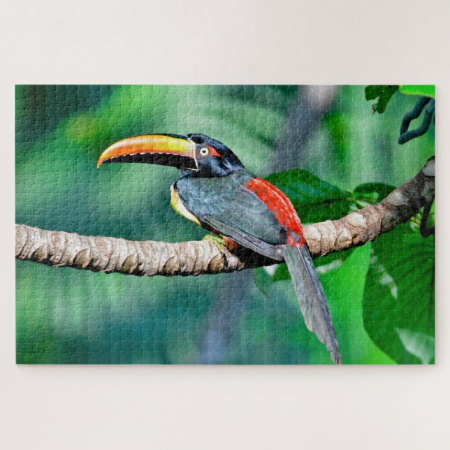 Costa Rica Toucan Jigsaw Puzzle (Horizontal)